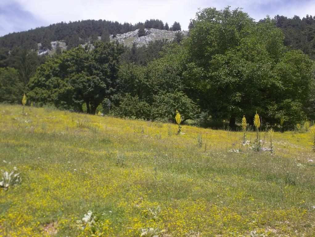 Le Antiche Torri Bed & Breakfast Pescasseroli Exterior photo